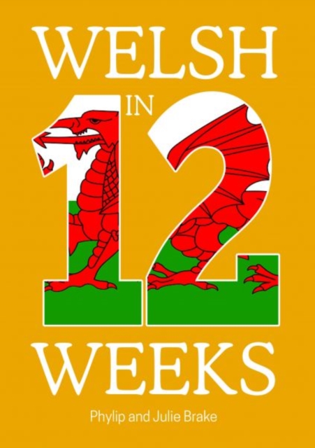 Gwasg Carreg Gwalch Welsh In 12 Weeks