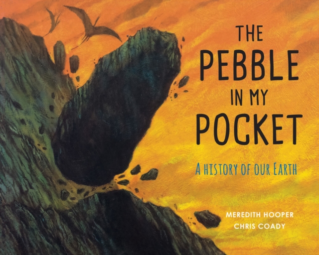The Pebble in My Pocket A History of Our Earth Meredith Hooper
