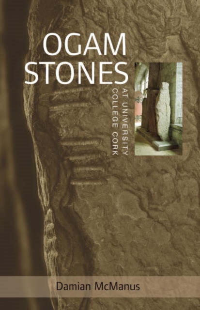 Cork University Press The Ogam Stones At University College Cork