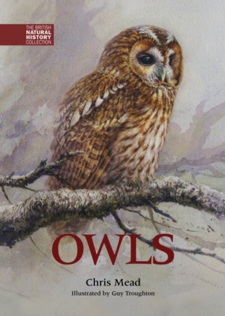 Whittet Books Ltd Owls