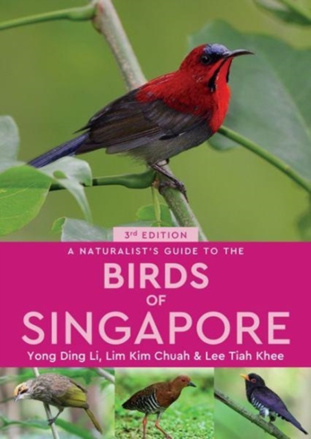 John Beaufoy Publishing Ltd A Naturalist'S Guide To The Birds Of Singapore
