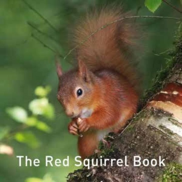 Graffeg Limited Nature Book Series: The Red Squirrel Book