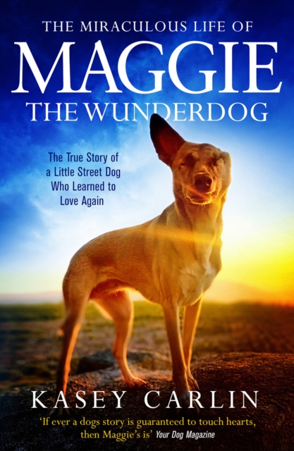 The Miraculous Life of Maggie the Wunderdog : The true story of a ...