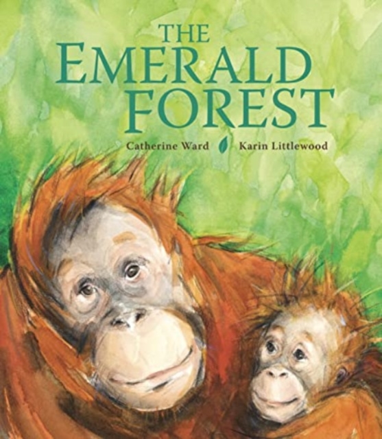 Otter-Barry Books The Emerald Forest