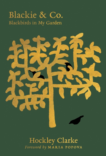 Blackie & Co. : Blackbirds in My Garden