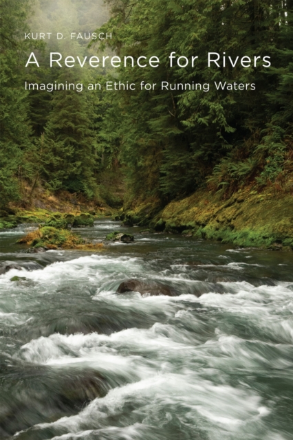 A Reverence for Rivers : Imagining an Ethic for Running Waters