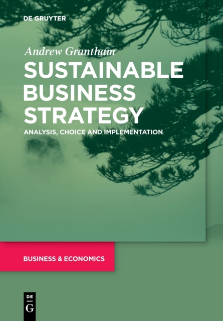 Softback Strategy Guide Sustainable Business Strategy : Analysis, Choice and Implementation ...