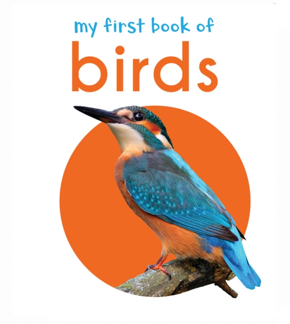 My First Book of Birds : First Board Book