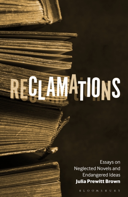 Reclamations : Essays on Neglected Novels and Endangered Ideas
