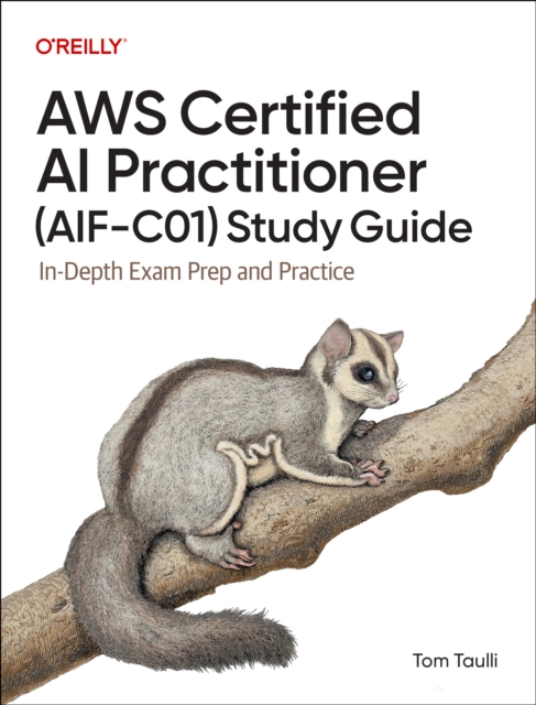AWS Certified AI Practitioner (AIF-C01) Study Guide : In-Depth Exam ...
