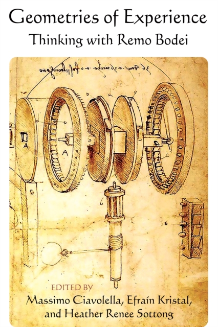 Geometries of Experience : Thinking with Remo Bodei