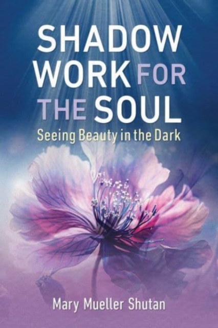Inner Traditions Bear and Company Shadow Work For The Soul : Seeing Beauty In The Dark