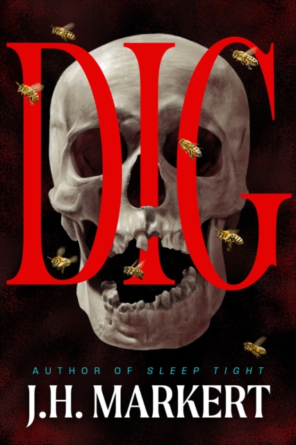 Crooked Lane Books Dig : A Novel