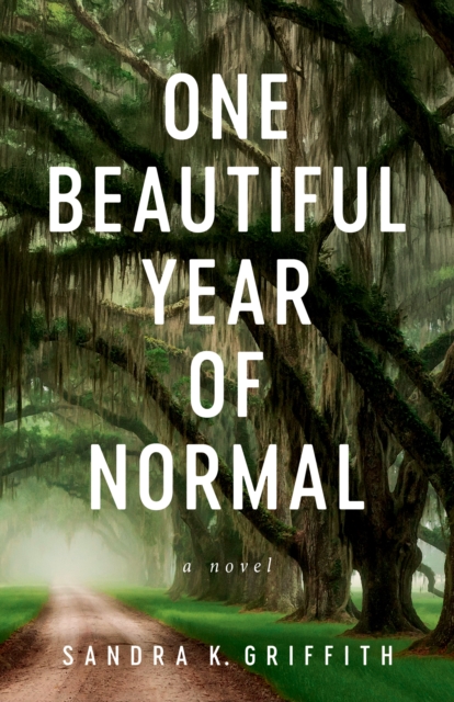 One Beautiful Year of Normal : A Novel